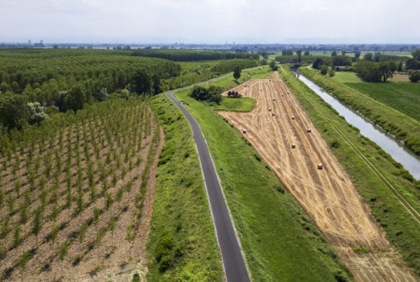 suardi ciclabile vento
